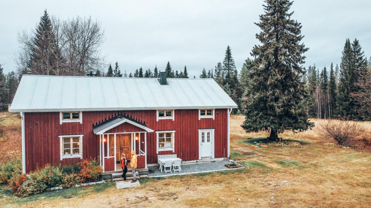 Taiga Forest Lodge ياليفاره المظهر الخارجي الصورة