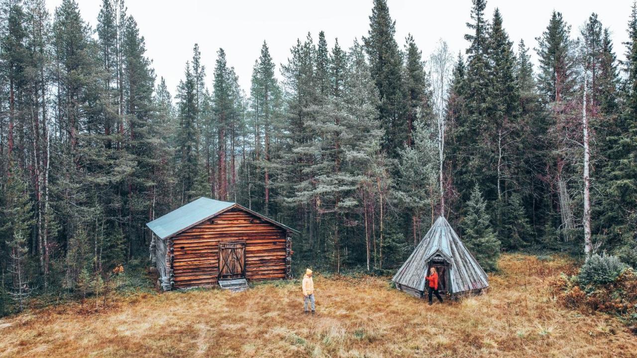 Taiga Forest Lodge ياليفاره المظهر الخارجي الصورة