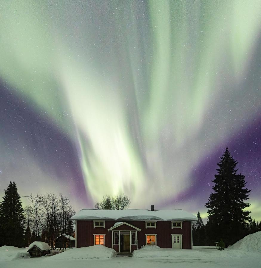 Taiga Forest Lodge ياليفاره المظهر الخارجي الصورة